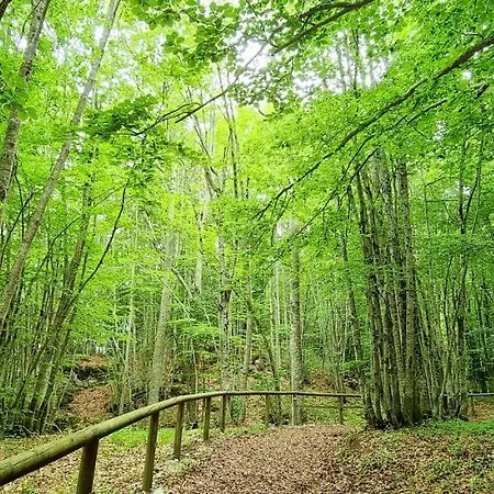 Appartamento Cozy In 55 M² With Mountain View