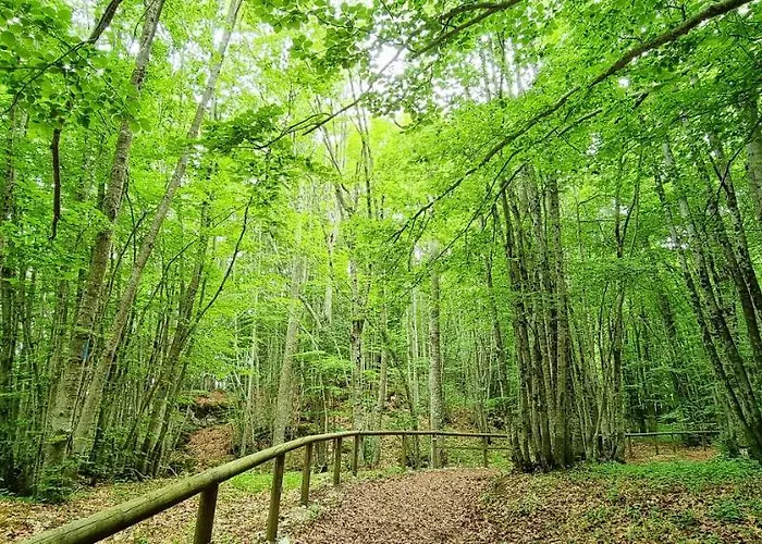 Appartamento Cozy In 55 M² With Mountain View